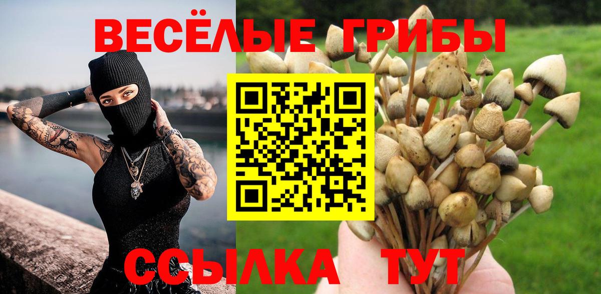 Псилоцибиновые грибы прущие грибы Астрахань