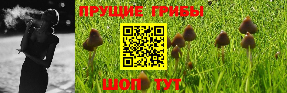 хочу   Вход с VPN  Астрахань  Псилоцибиновые грибы Magic Shrooms 